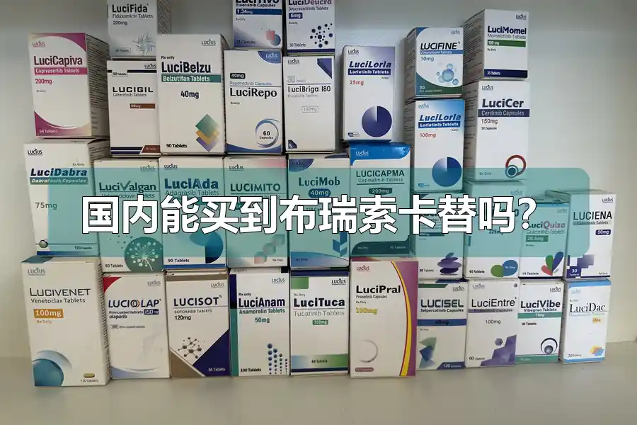 国内能买到布瑞索卡替吗?